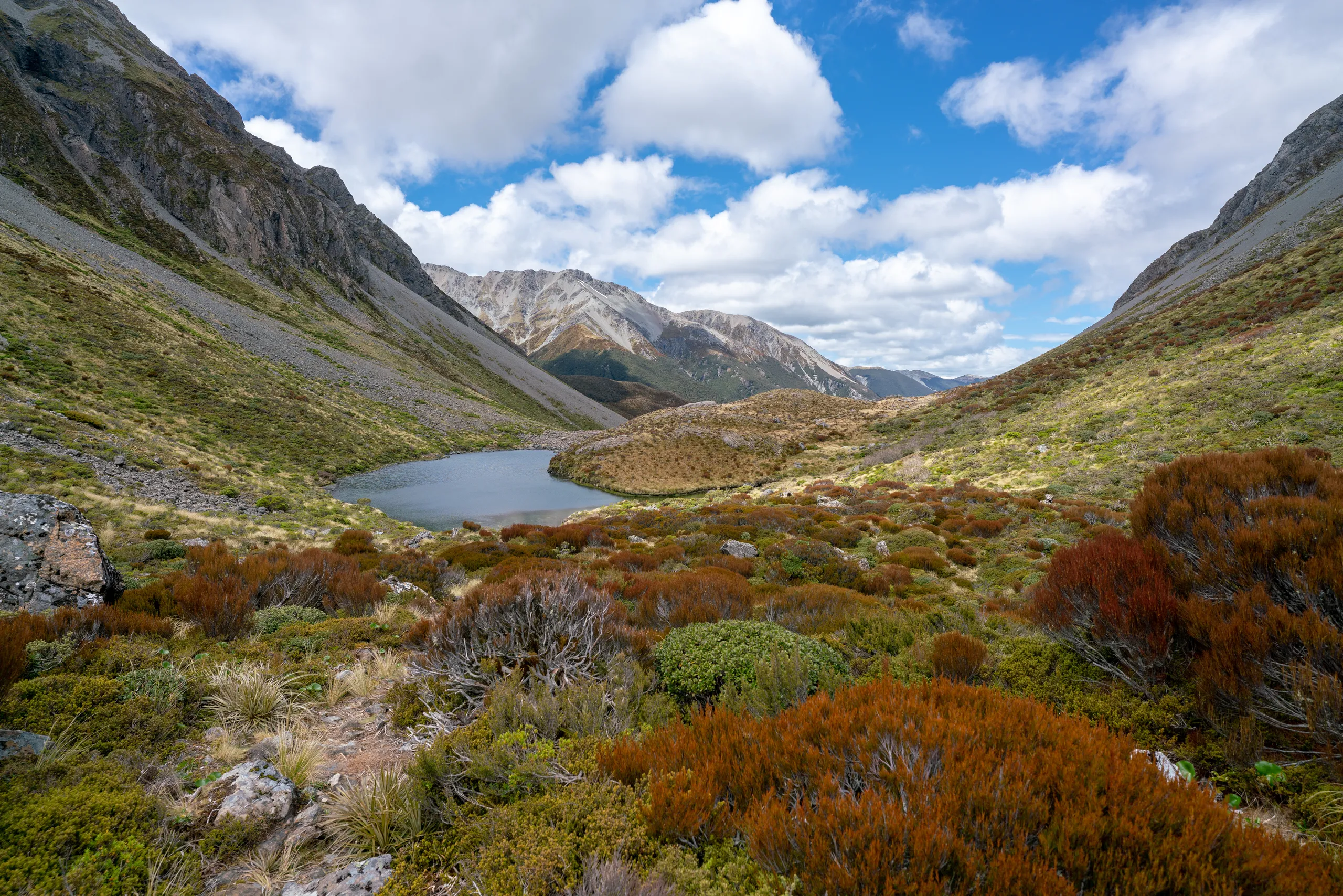 Tarn near Walker Pass with Blackball Ridge visible in the skyline