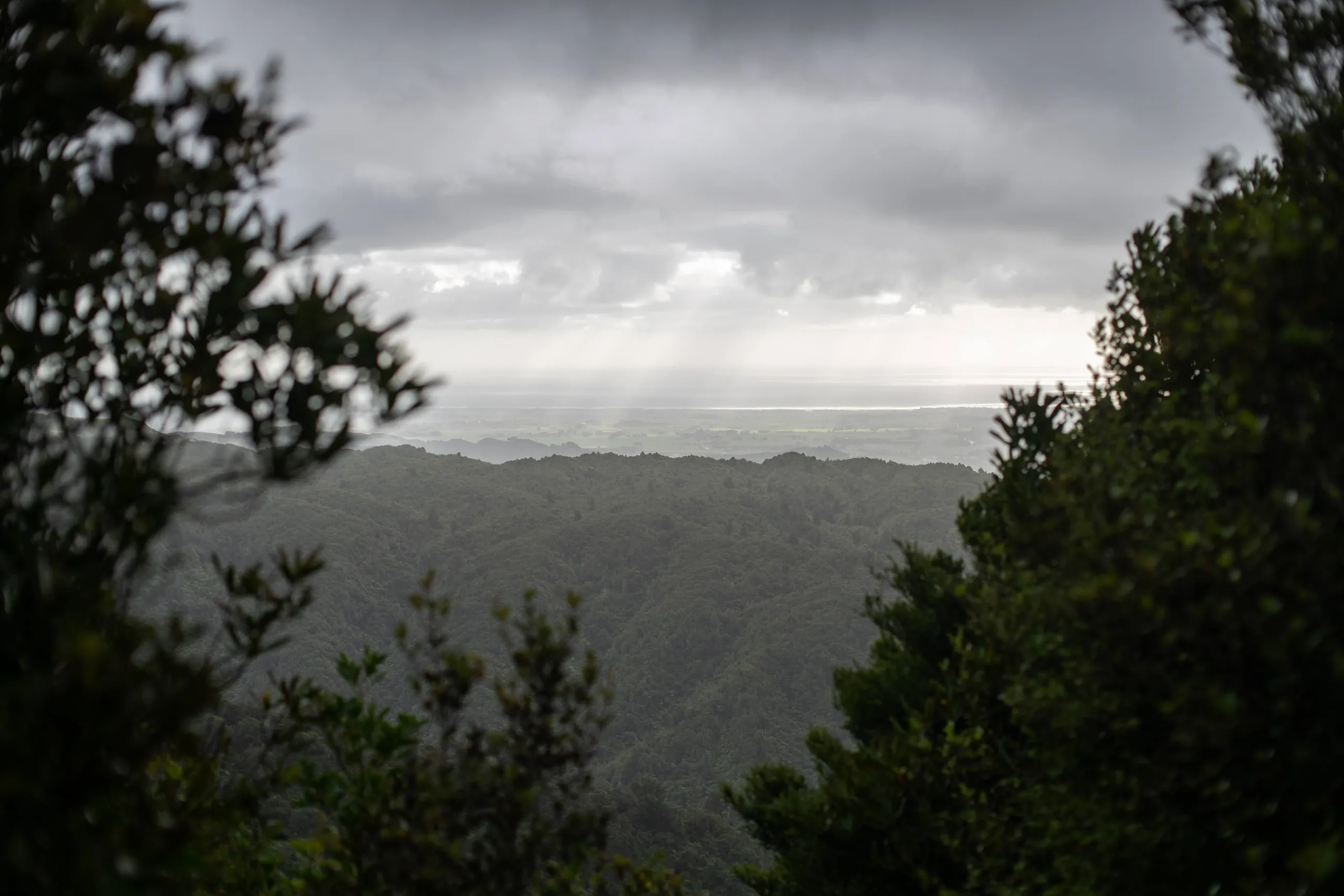 The best view we got from the track, out towards Levin. After this point, we rose into the cloud.