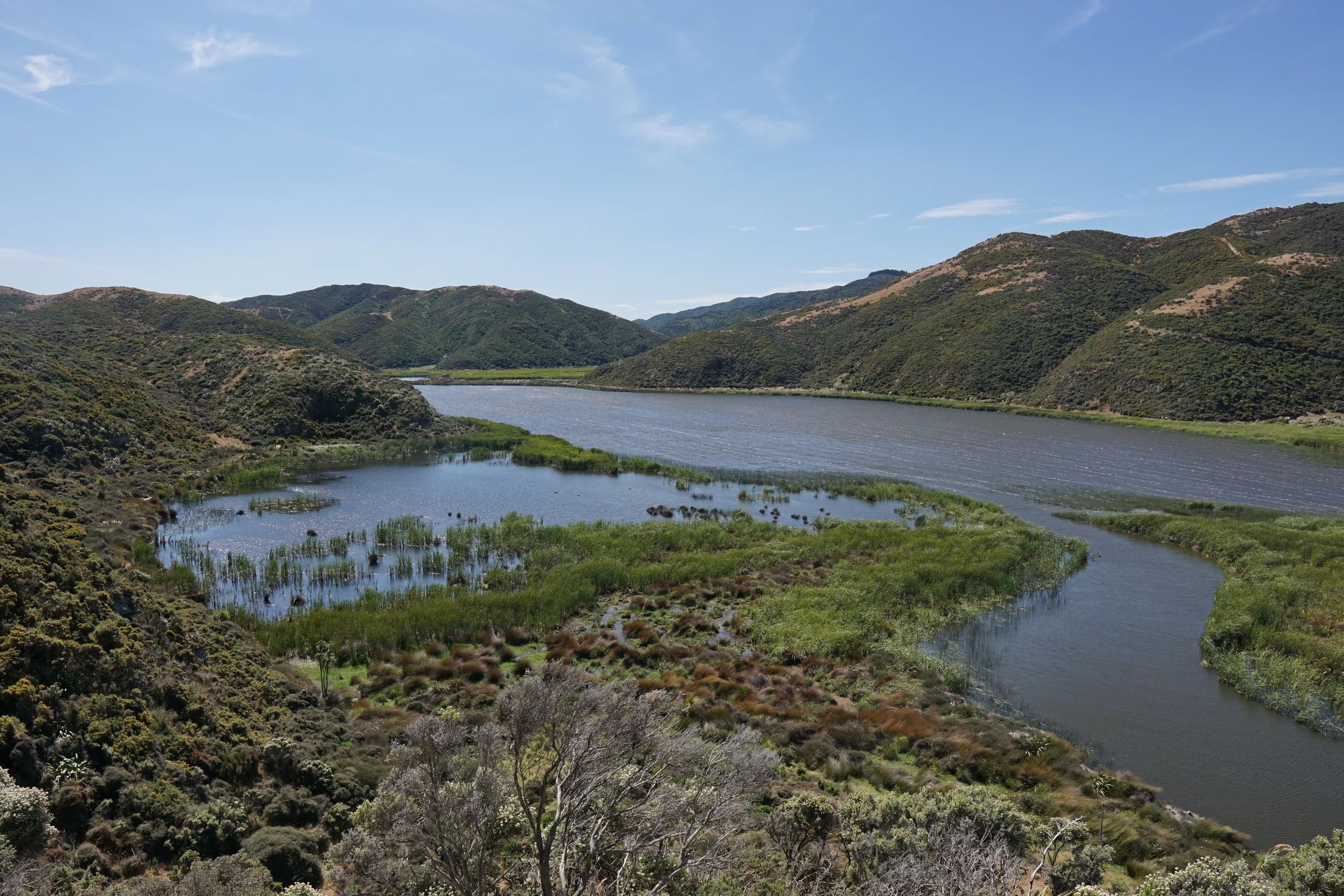 The track climbs above Lake Kohangatera