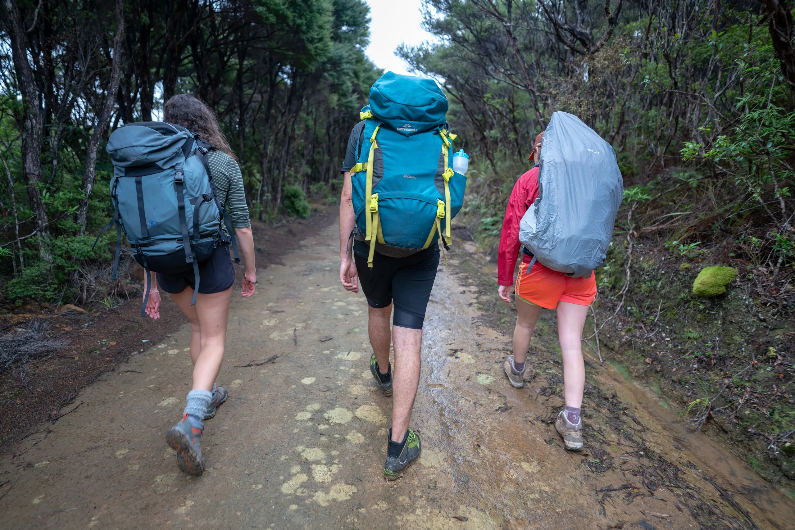 Setting off along Forest Road. Much of the first day was like this - 12km of travel along 4WD tracks. Take the Kiwiriki Track if you have more daylight hours than us!