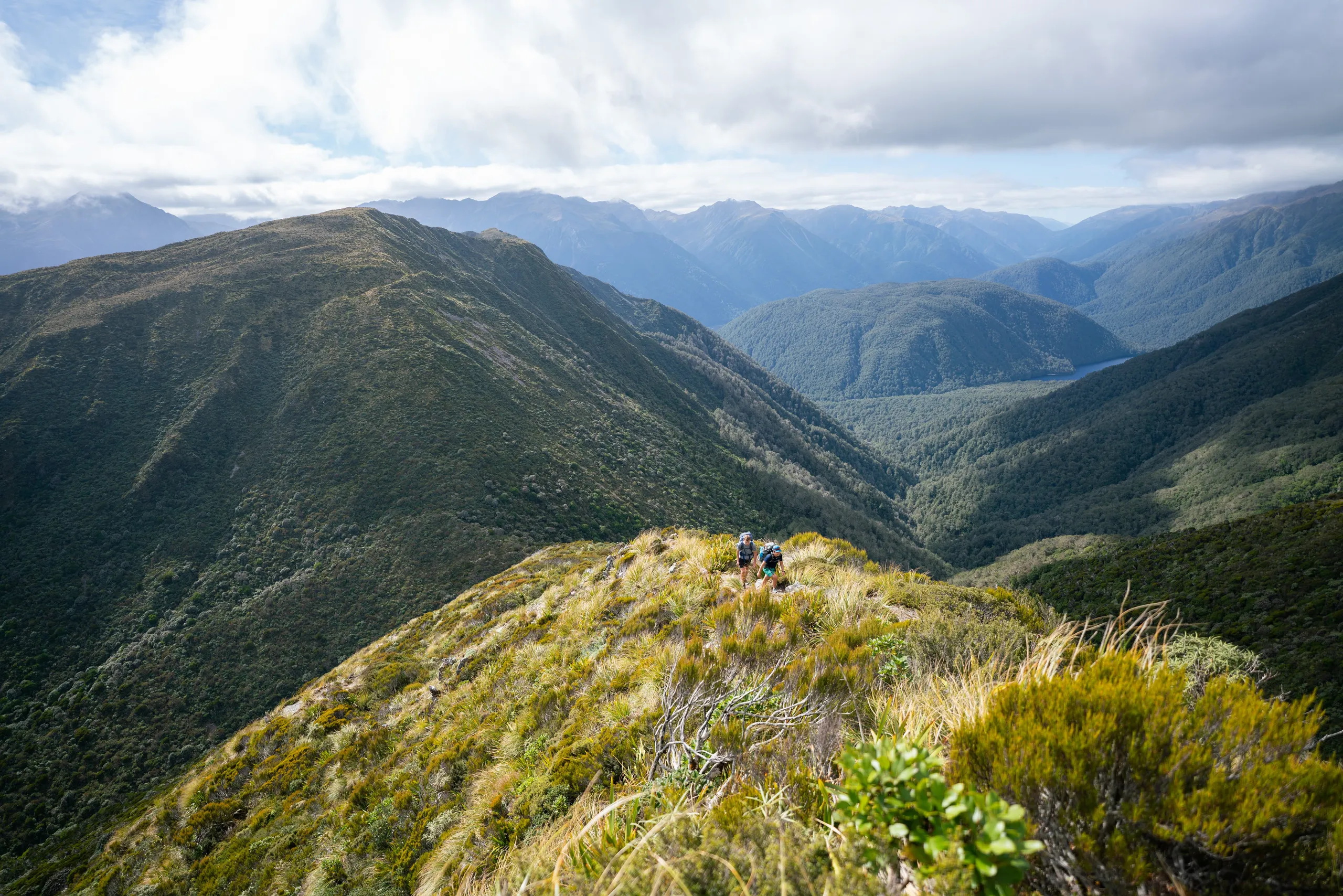 The track becomes steeper beyond the saddle, heading up the ridge towards Mt Pfeifer