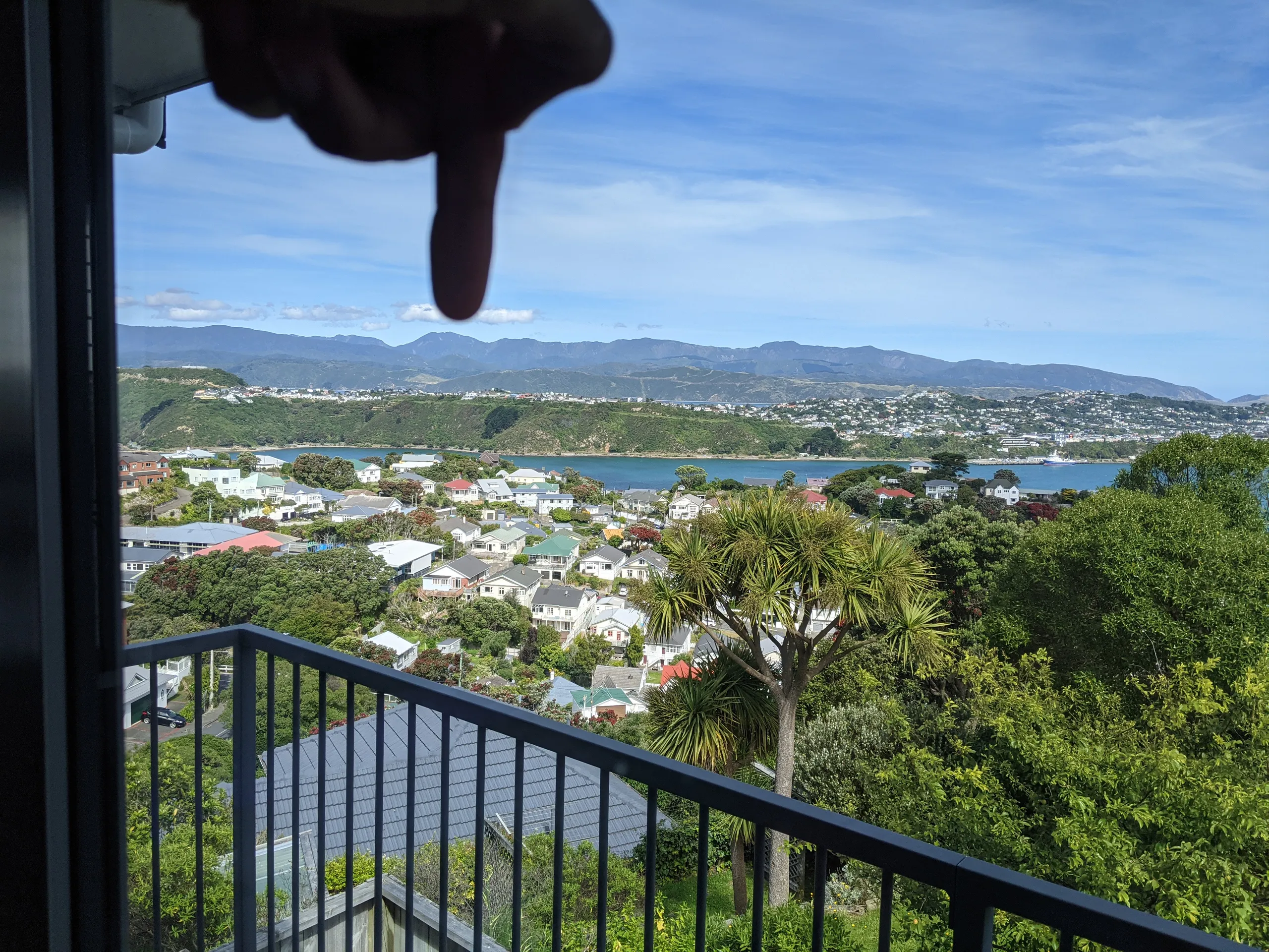 Mt Matthews as viewed from my balcony. It's part of the Wellington skyline and always has been.