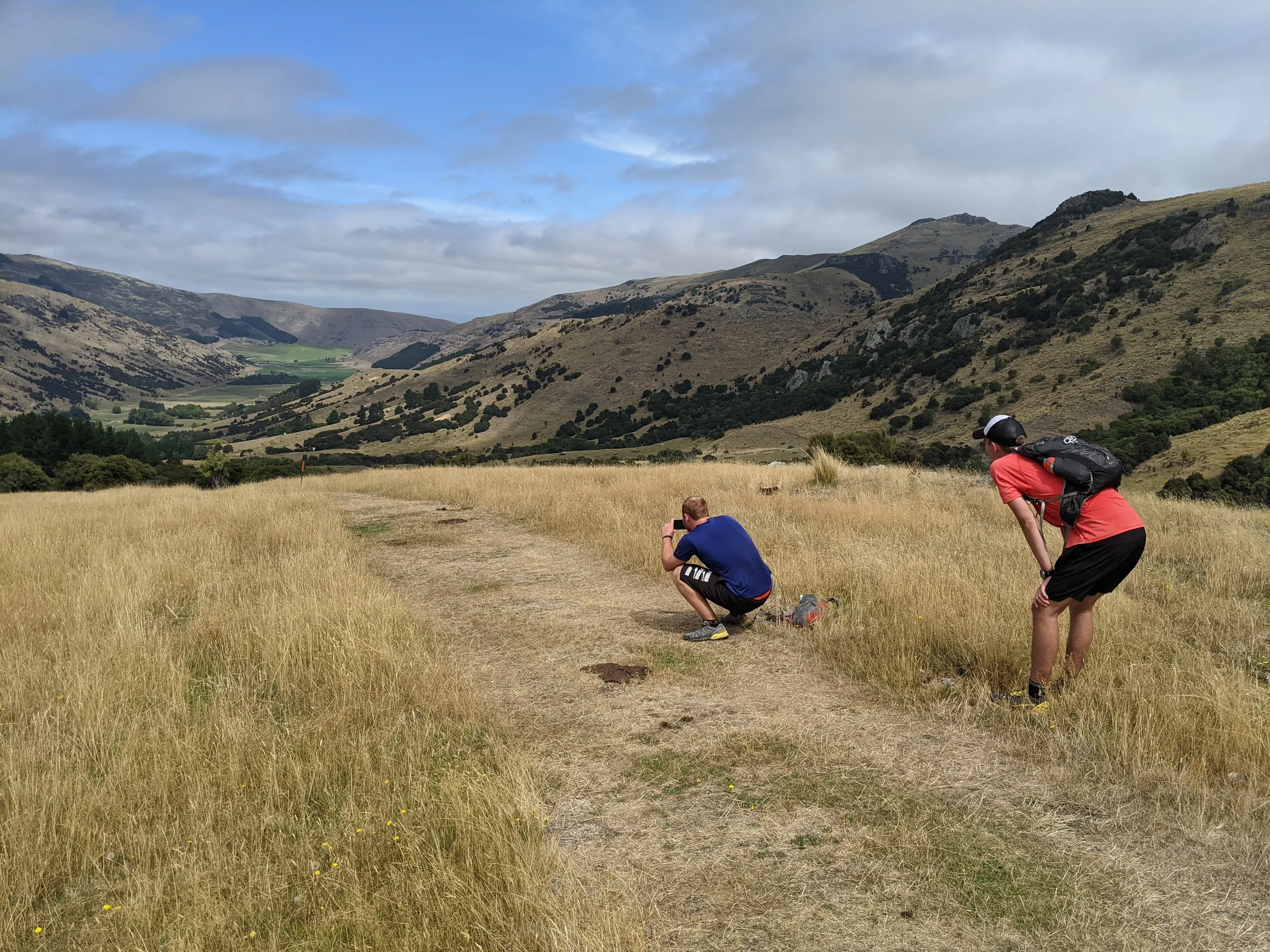 Desceding back along Kaituna Valley Packhorse Hut Track to the car