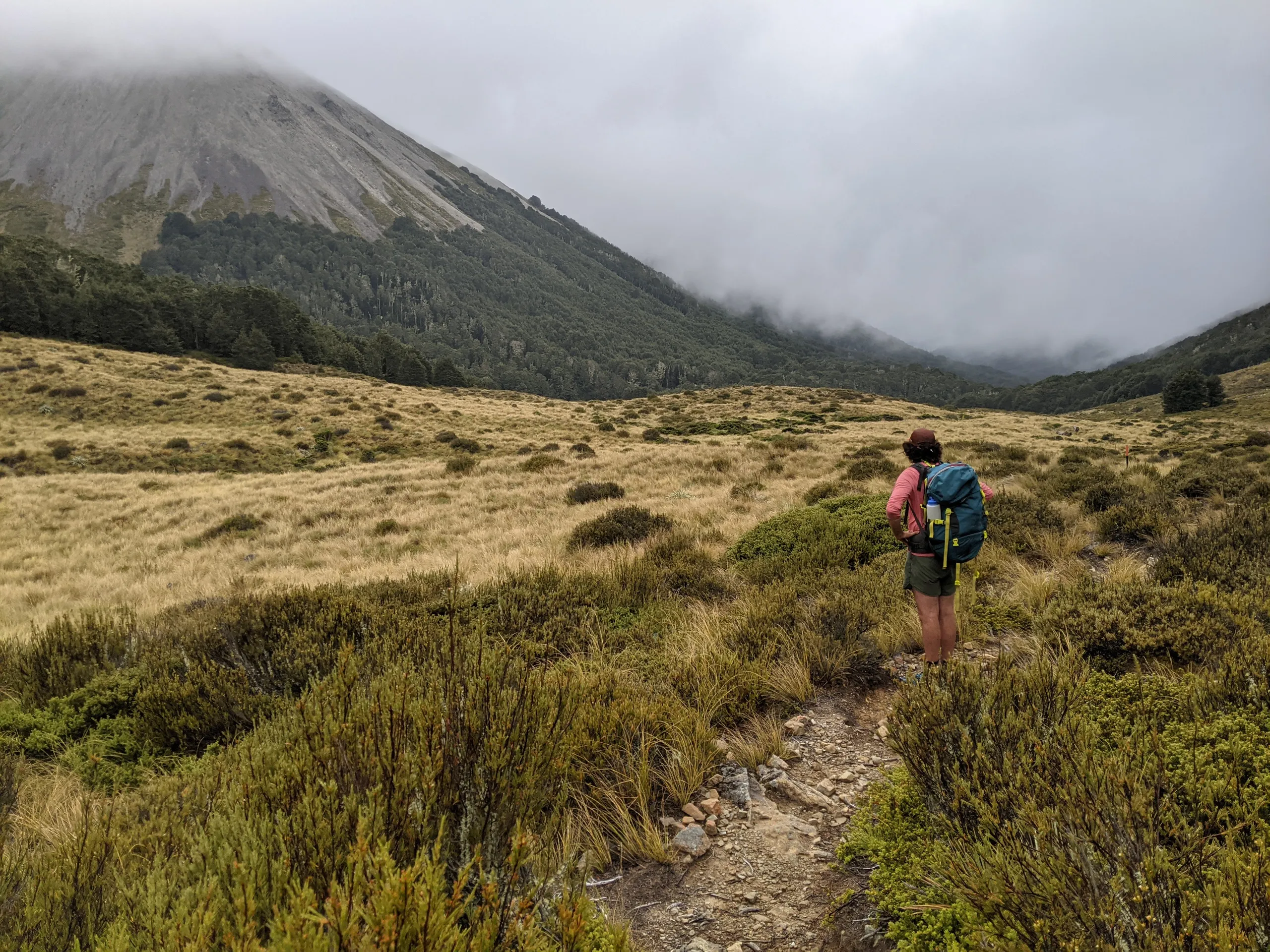 Looking back down the track while approaching Cass Saddle