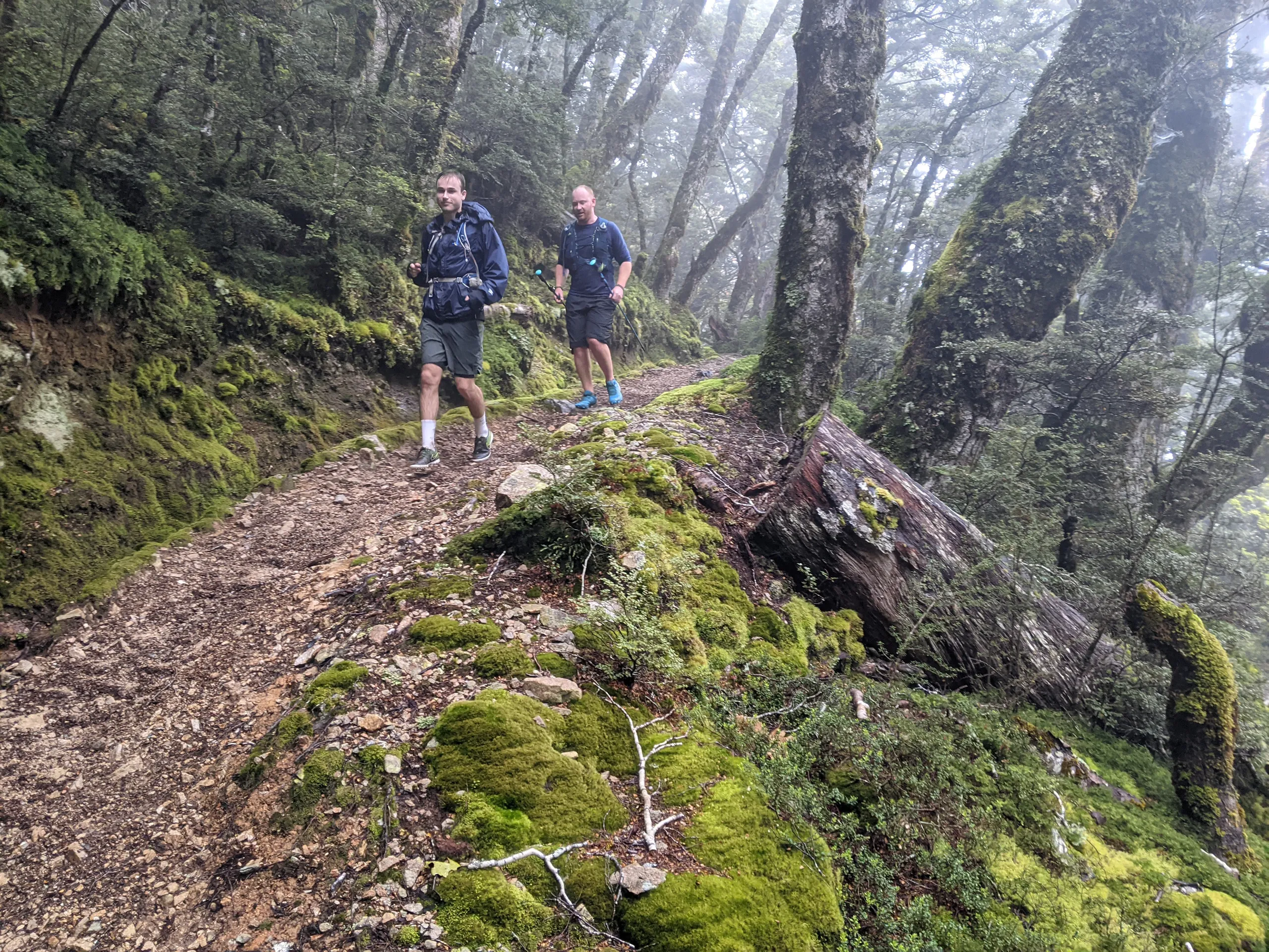 Speeding down the misty descent towards Iris Burn Hut, our halfway stop