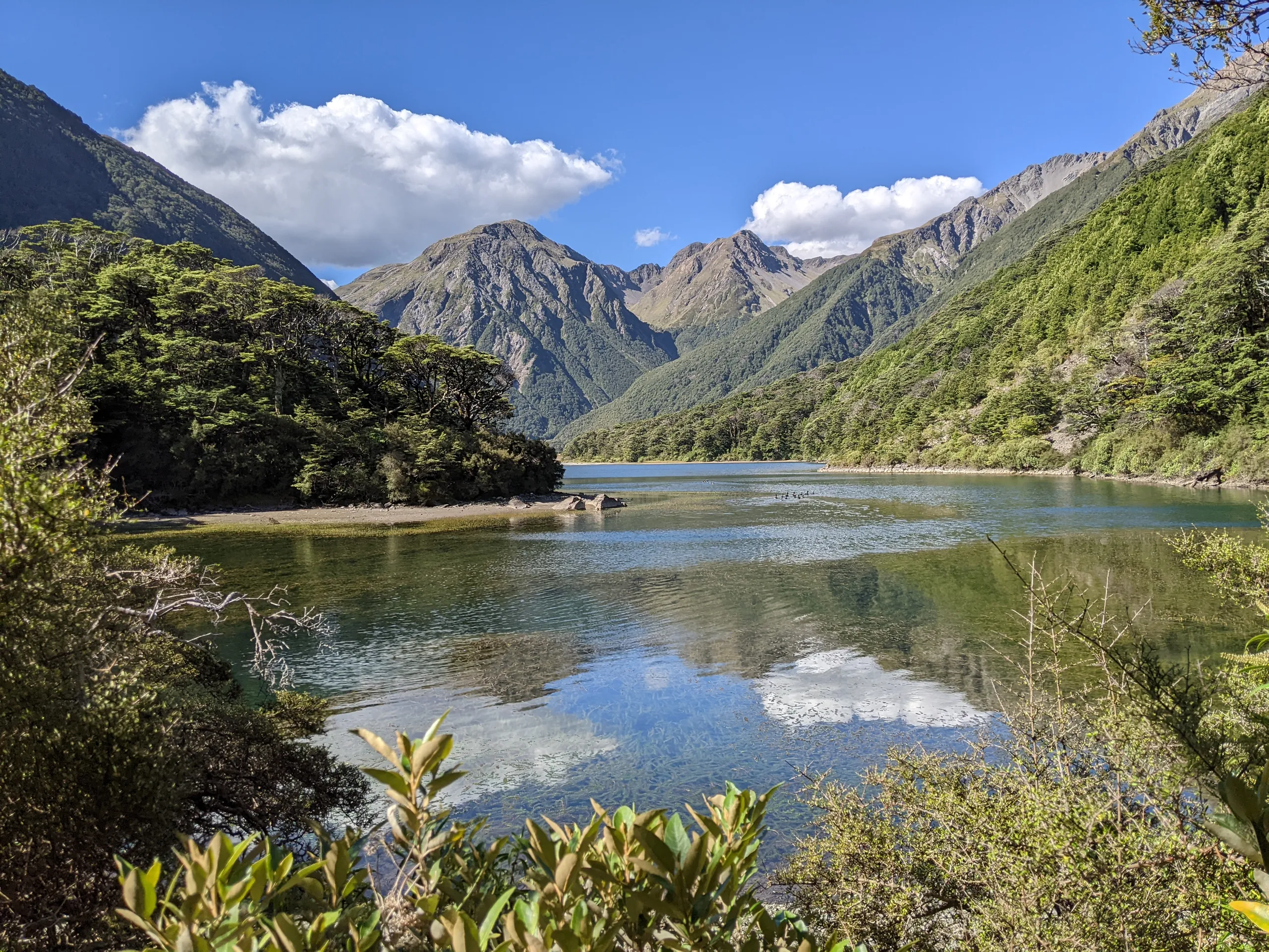 Lake Minchin comes into sight. The view unfortunately includes a flock of Canada Geese, a common pest in otherwise pristine areas like this.